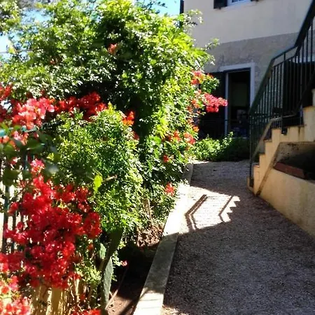 Amazigh & Dorm With Share Kitchen *