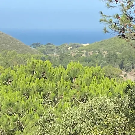 Amazigh & Dorm With Share Kitchen 카스카이스