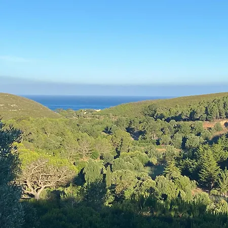 Amazigh & Dorm With Share Kitchen *