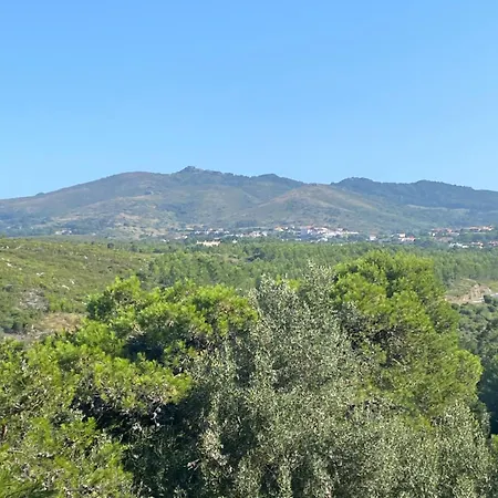 Amazigh Guincho &