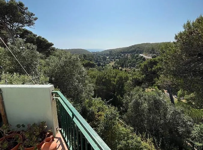 Amazigh & Dorm With Share Kitchen 호스텔