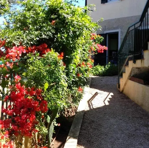 Amazigh & Dorm With Share Kitchen *