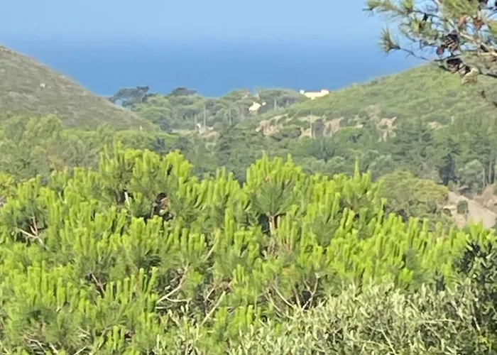 Amazigh & Dorm With Share Kitchen Cascais